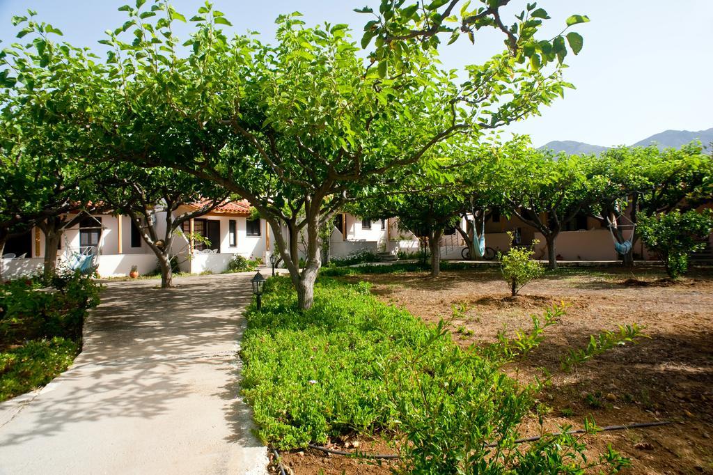Dolphin Apartments Frangokastello Extérieur photo